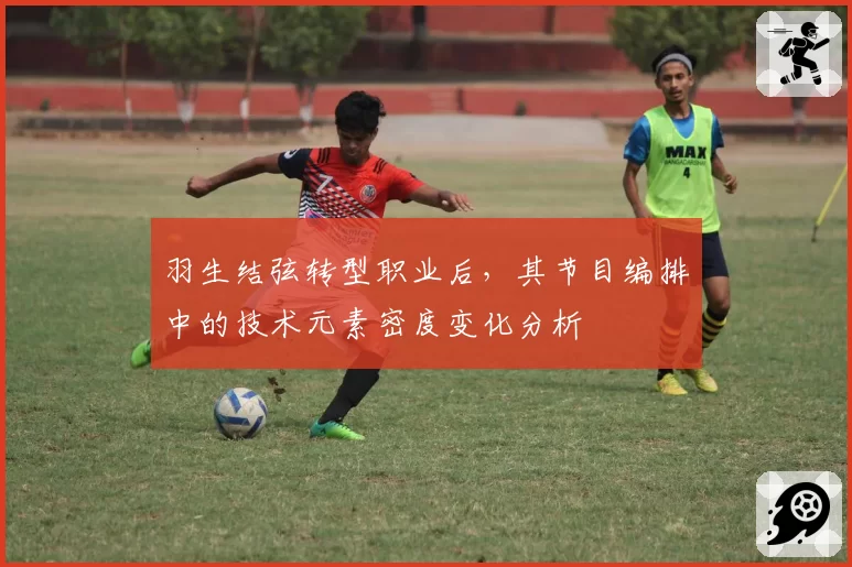 羽生结弦转型职业后,其节目编排中的技术元素密度变化分析