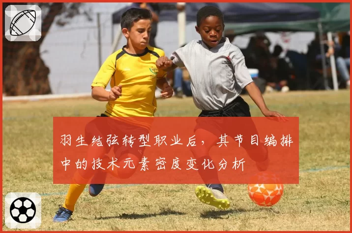 羽生结弦转型职业后，其节目编排中的技术元素密度变化分析